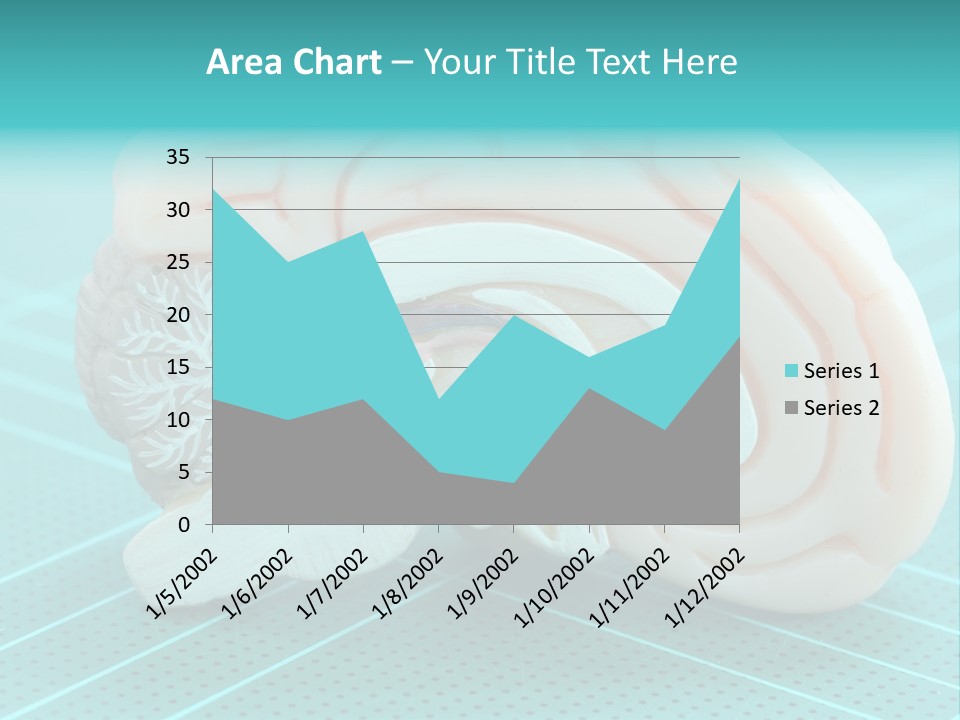 Model Organ Nervous PowerPoint Template
