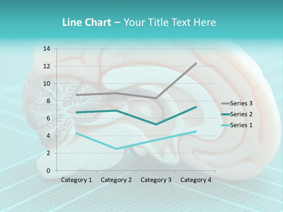 Model Organ Nervous PowerPoint Template