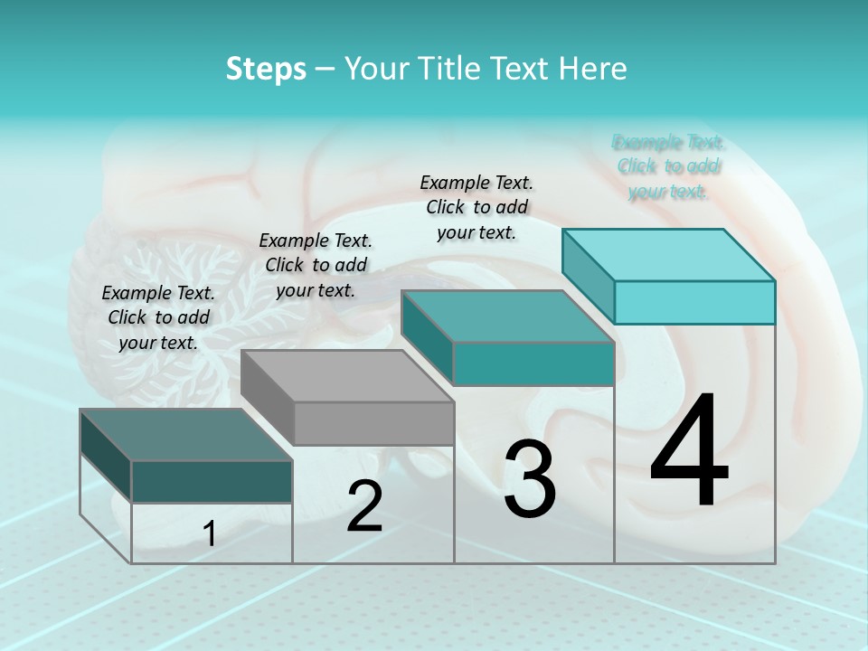 Model Organ Nervous PowerPoint Template