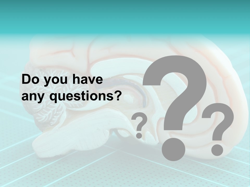 Model Organ Nervous PowerPoint Template