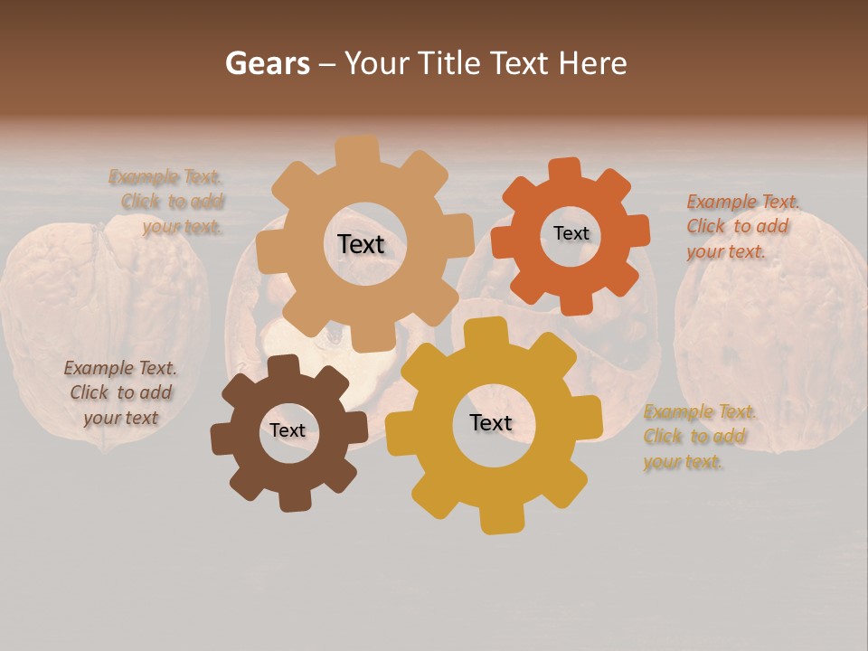 Composition Traditional Half PowerPoint Template