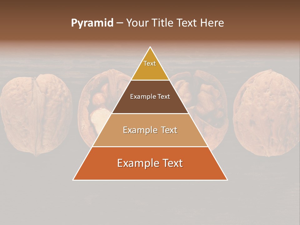 Composition Traditional Half PowerPoint Template