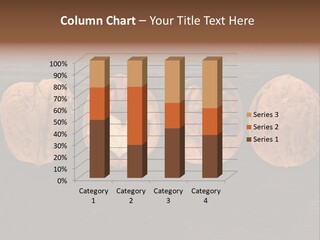 Composition Traditional Half PowerPoint Template