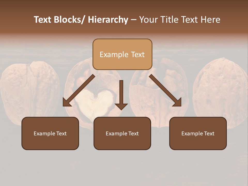 Composition Traditional Half PowerPoint Template
