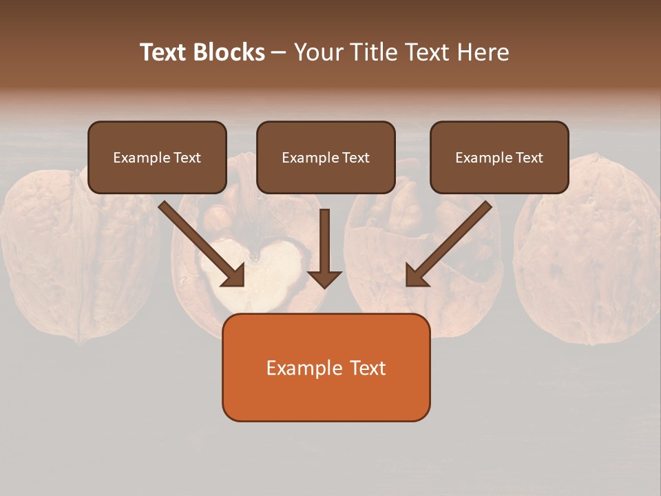 Composition Traditional Half PowerPoint Template