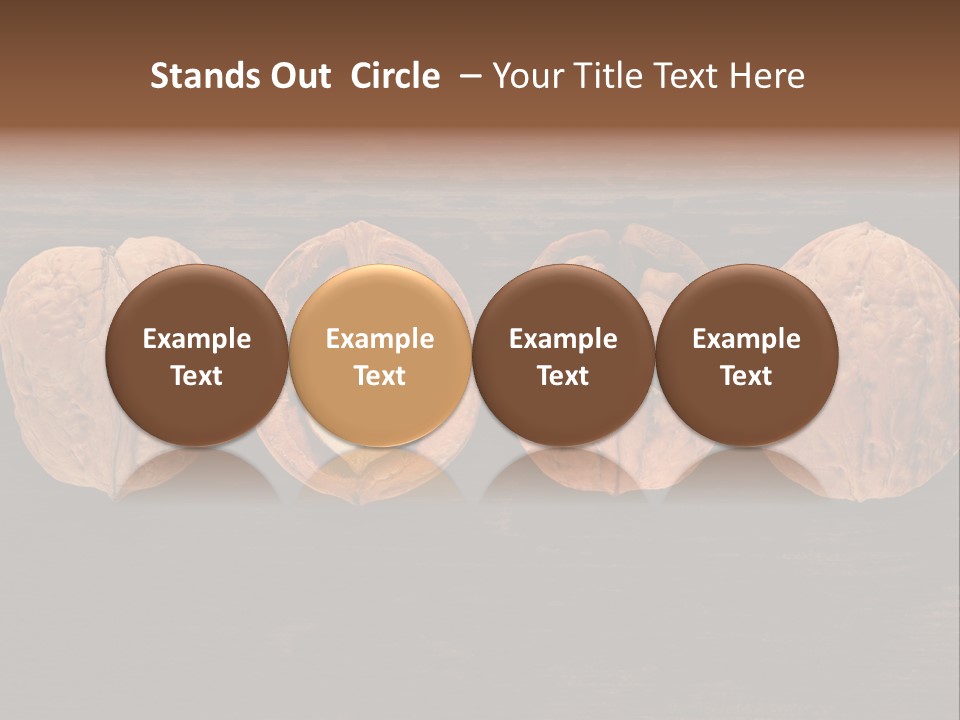 Composition Traditional Half PowerPoint Template