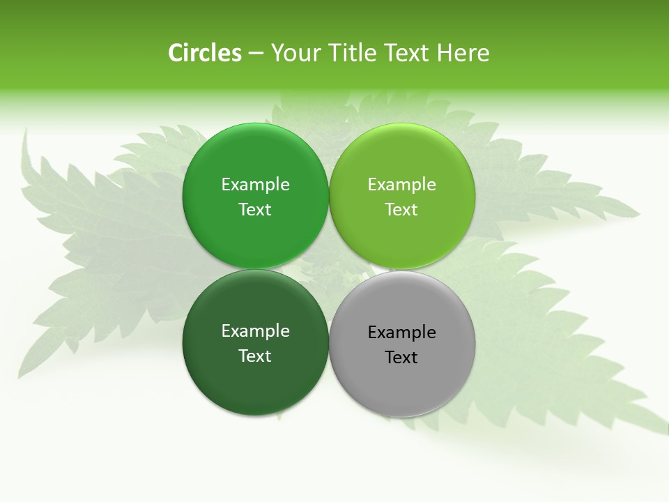 Nettle Alternative Herbalism PowerPoint Template