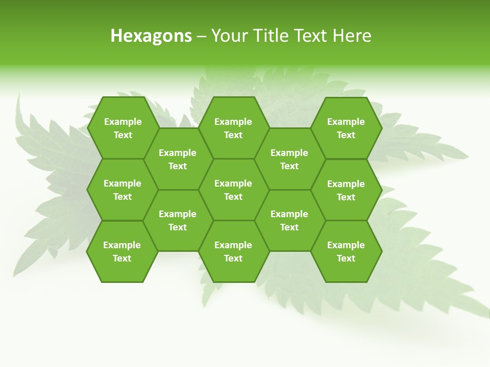 Nettle Alternative Herbalism PowerPoint Template