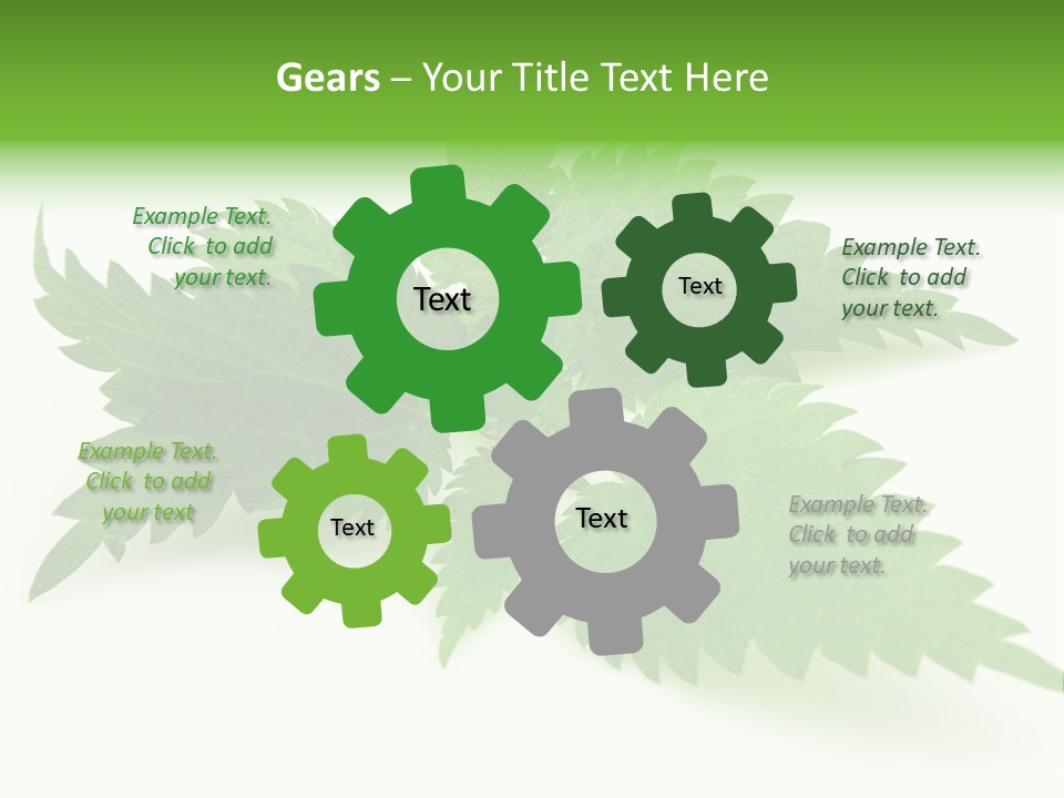 Nettle Alternative Herbalism PowerPoint Template