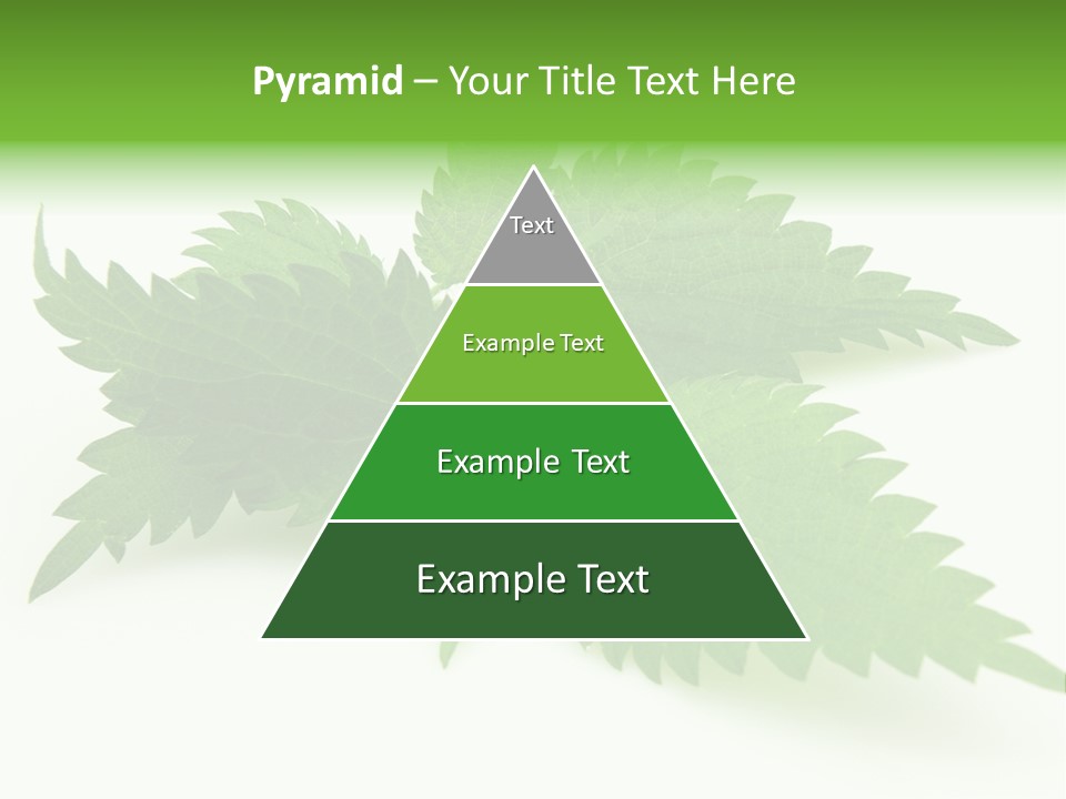 Nettle Alternative Herbalism PowerPoint Template