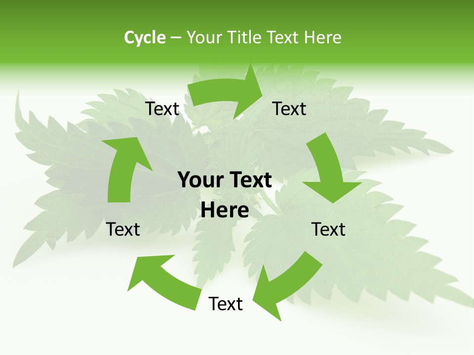 Nettle Alternative Herbalism PowerPoint Template
