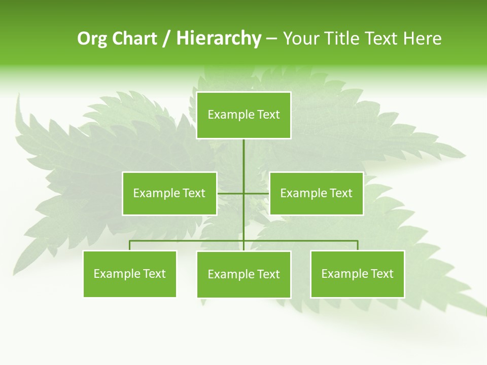 Nettle Alternative Herbalism PowerPoint Template