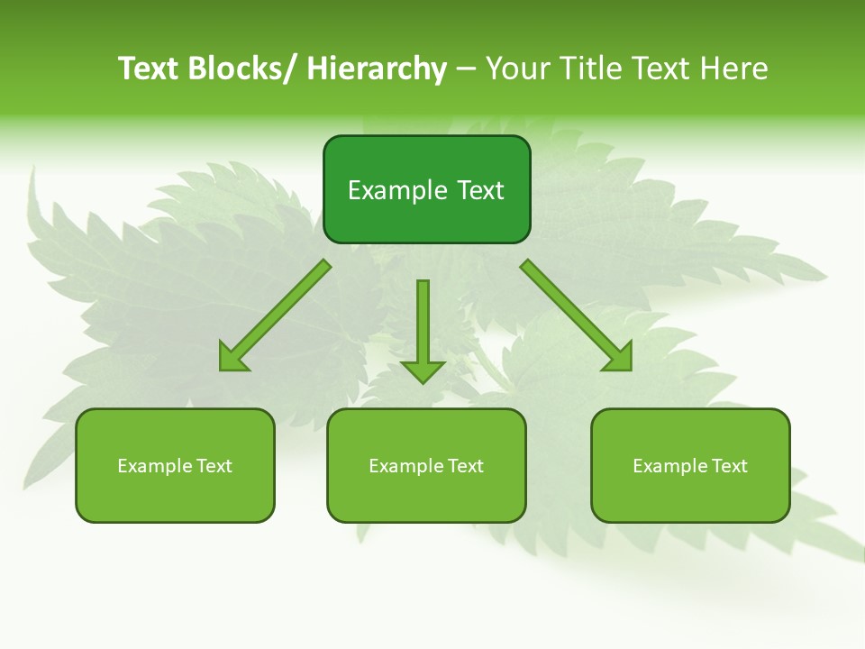 Nettle Alternative Herbalism PowerPoint Template