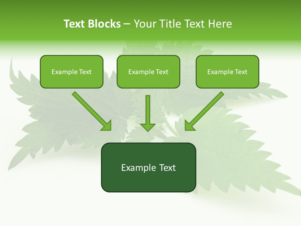 Nettle Alternative Herbalism PowerPoint Template