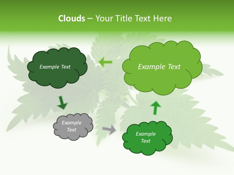 Nettle Alternative Herbalism PowerPoint Template