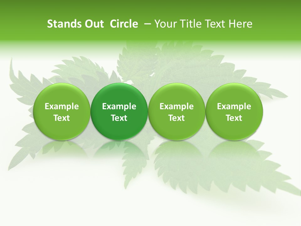 Nettle Alternative Herbalism PowerPoint Template