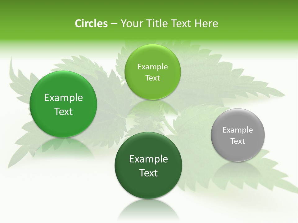 Nettle Alternative Herbalism PowerPoint Template