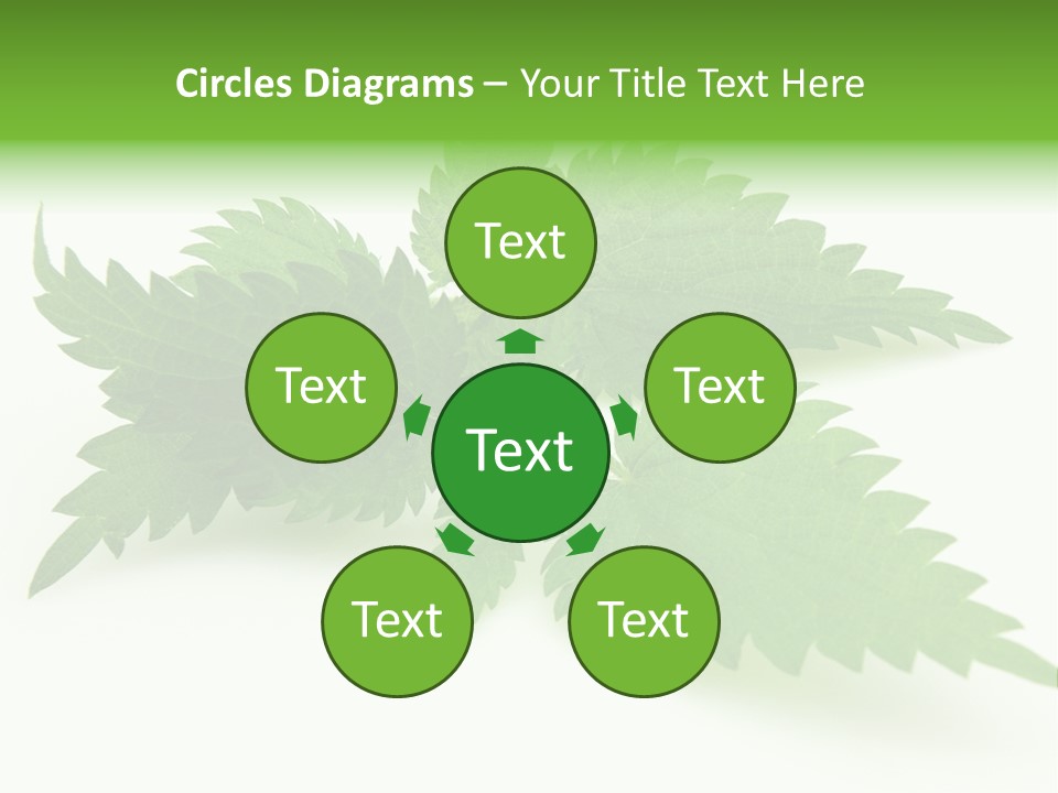 Nettle Alternative Herbalism PowerPoint Template