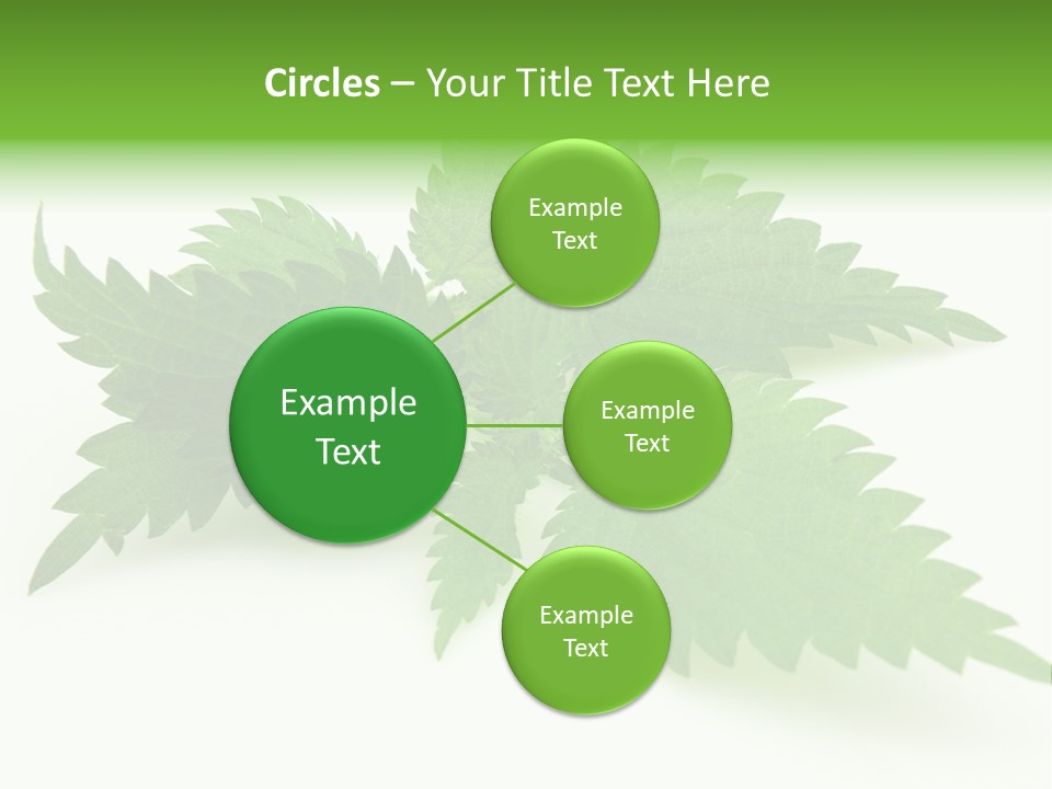 Nettle Alternative Herbalism PowerPoint Template