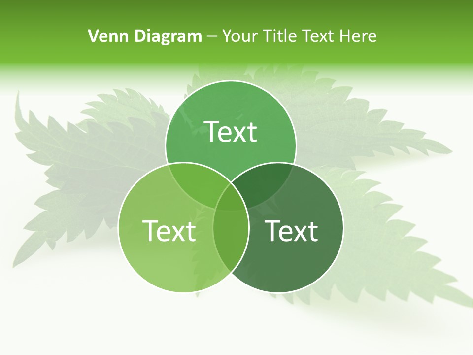 Nettle Alternative Herbalism PowerPoint Template