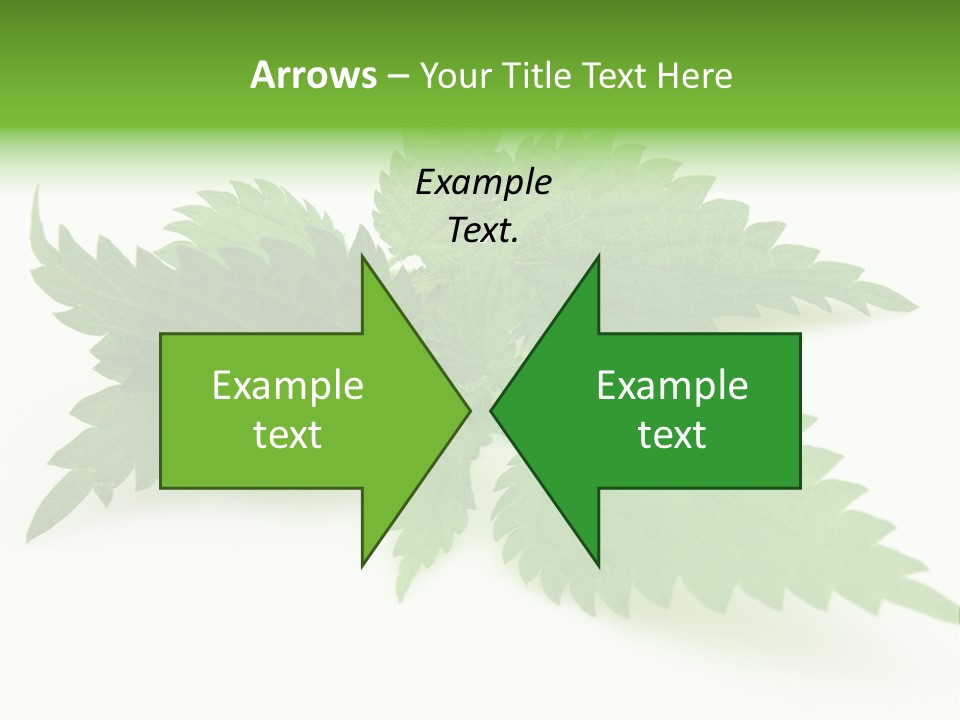 Nettle Alternative Herbalism PowerPoint Template