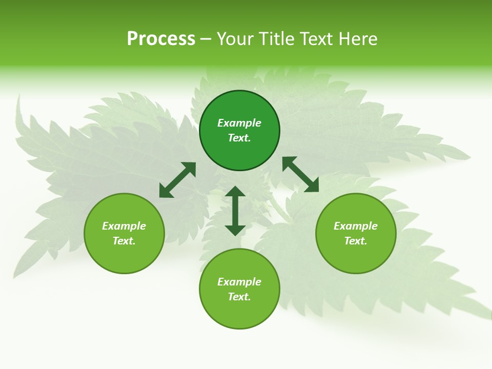Nettle Alternative Herbalism PowerPoint Template