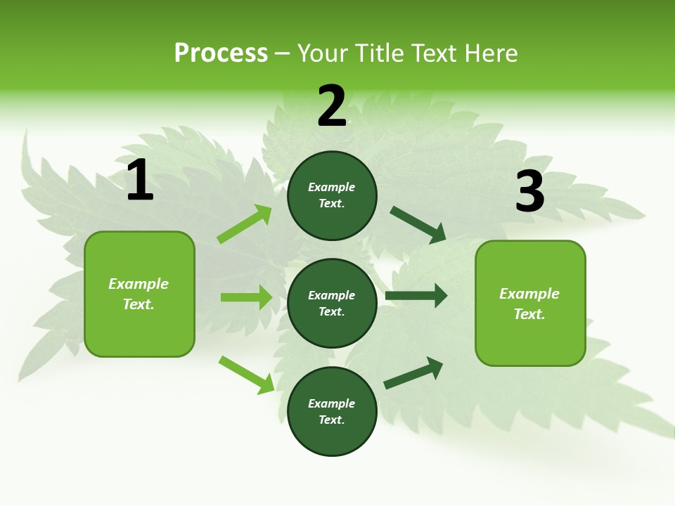 Nettle Alternative Herbalism PowerPoint Template