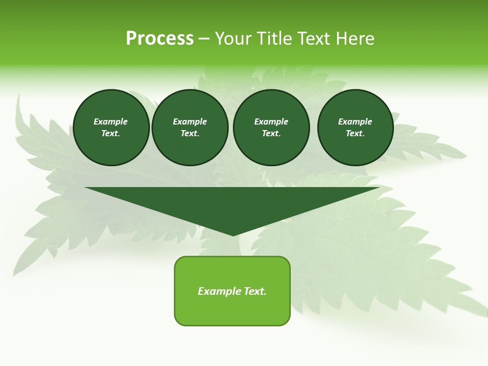 Nettle Alternative Herbalism PowerPoint Template