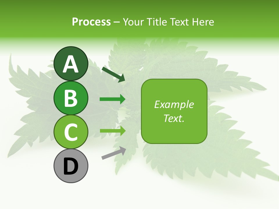 Nettle Alternative Herbalism PowerPoint Template