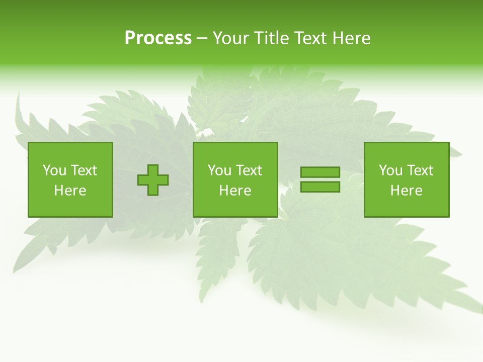 Nettle Alternative Herbalism PowerPoint Template