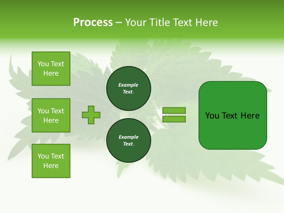 Nettle Alternative Herbalism PowerPoint Template