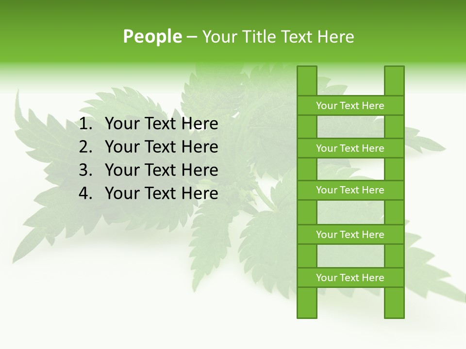 Nettle Alternative Herbalism PowerPoint Template