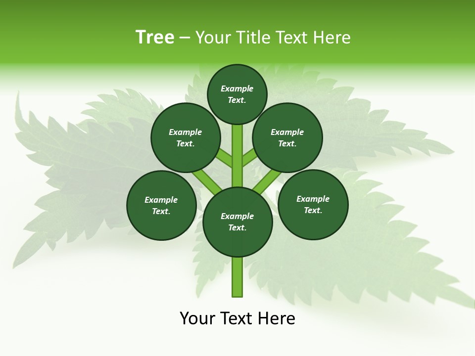 Nettle Alternative Herbalism PowerPoint Template