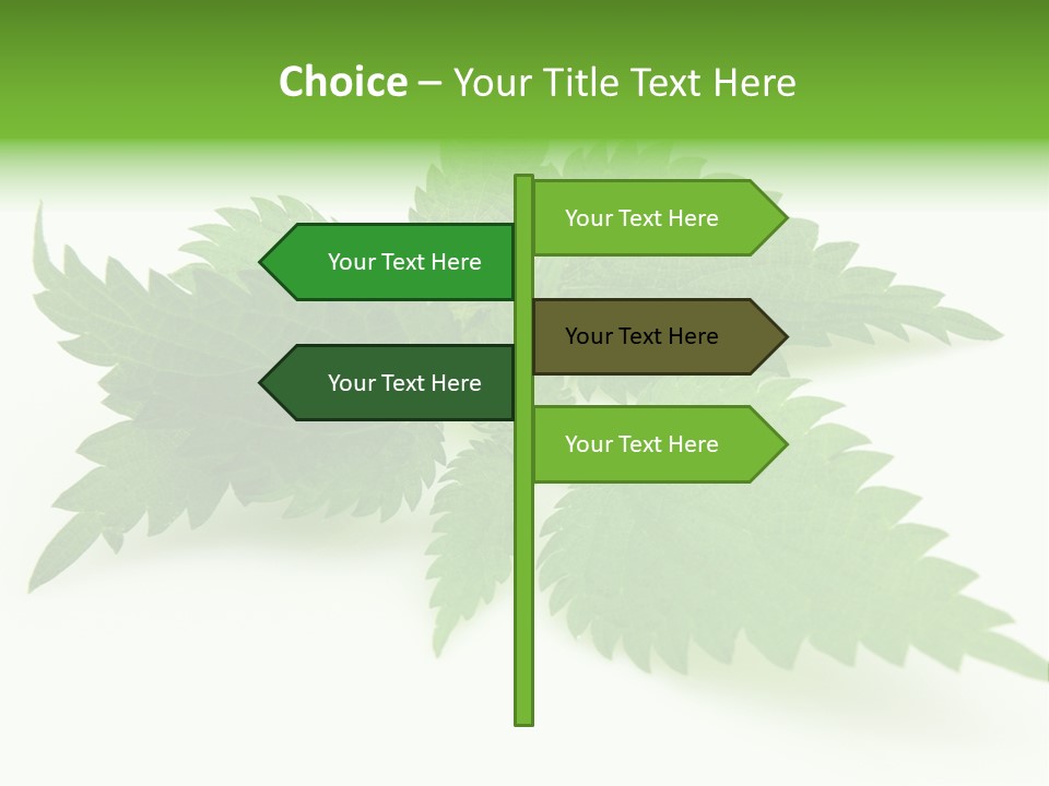 Nettle Alternative Herbalism PowerPoint Template