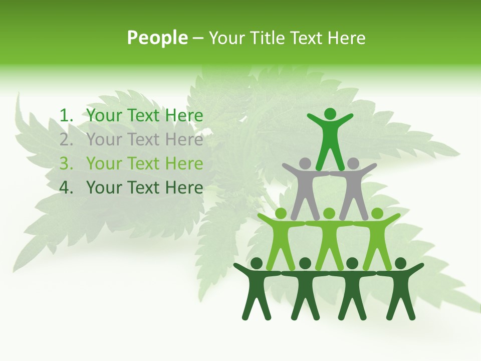 Nettle Alternative Herbalism PowerPoint Template