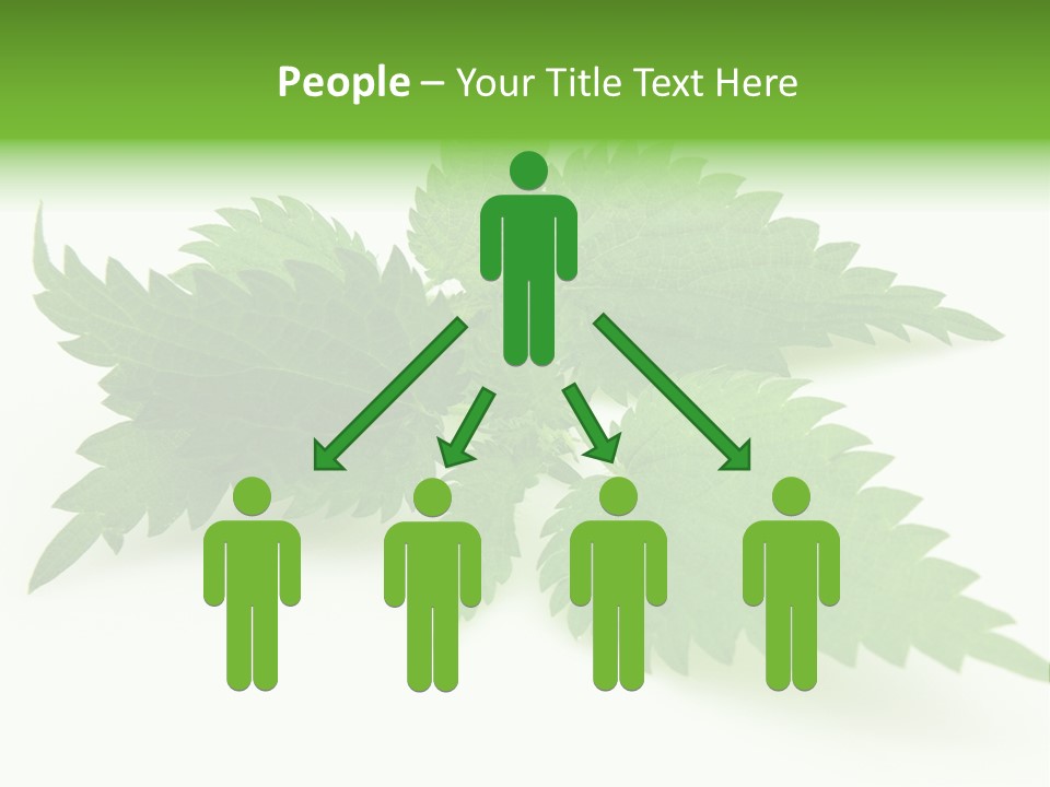 Nettle Alternative Herbalism PowerPoint Template