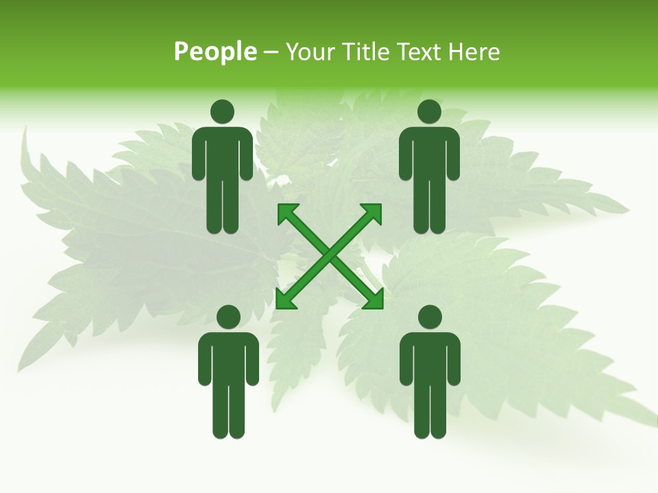 Nettle Alternative Herbalism PowerPoint Template
