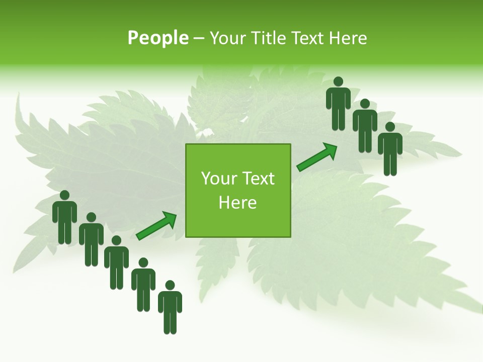 Nettle Alternative Herbalism PowerPoint Template