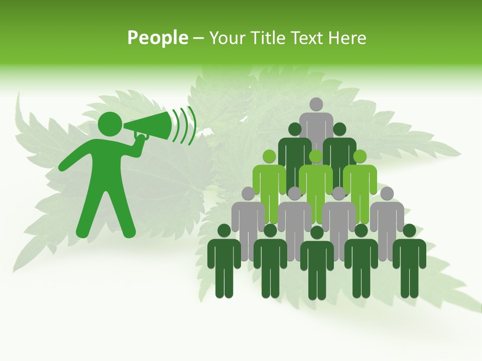 Nettle Alternative Herbalism PowerPoint Template