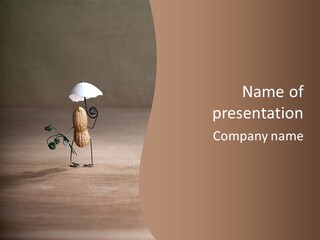 Nut Figurine Airing PowerPoint Template