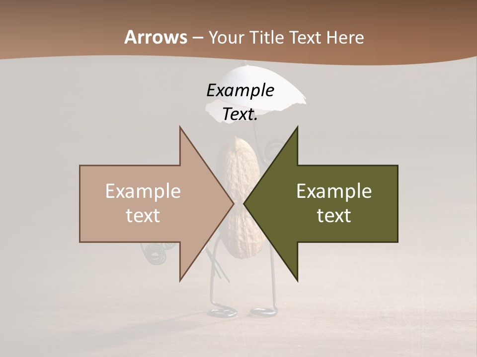 Nut Figurine Airing PowerPoint Template
