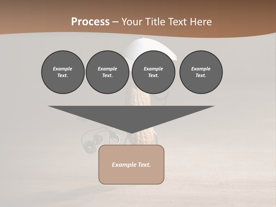 Nut Figurine Airing PowerPoint Template