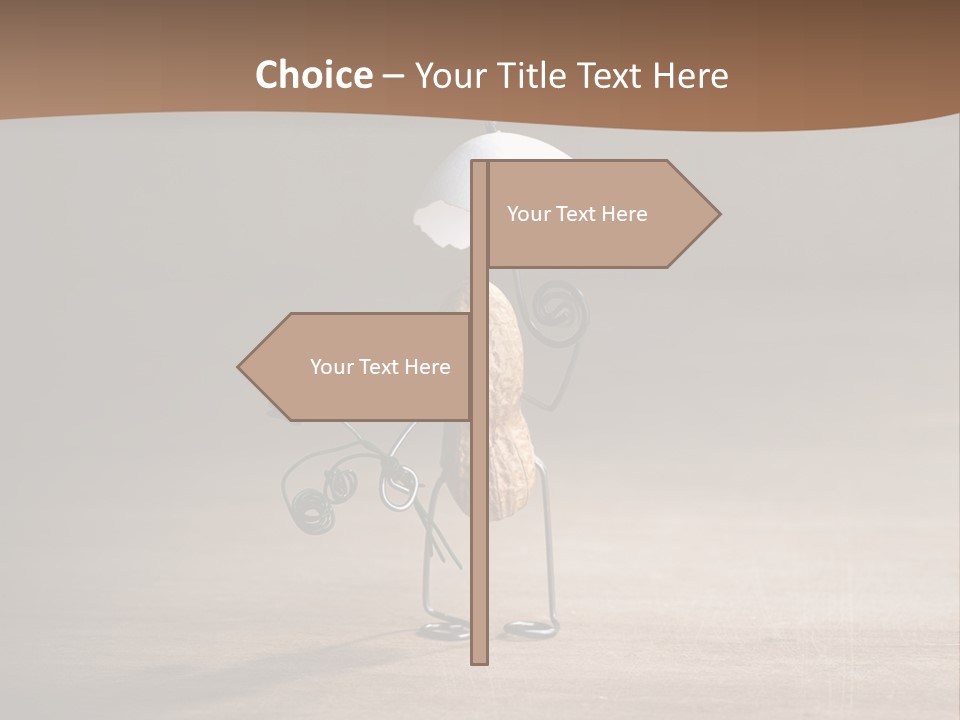 Nut Figurine Airing PowerPoint Template