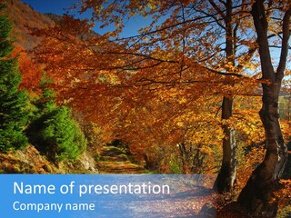 Green Seasonal Decor PowerPoint Template