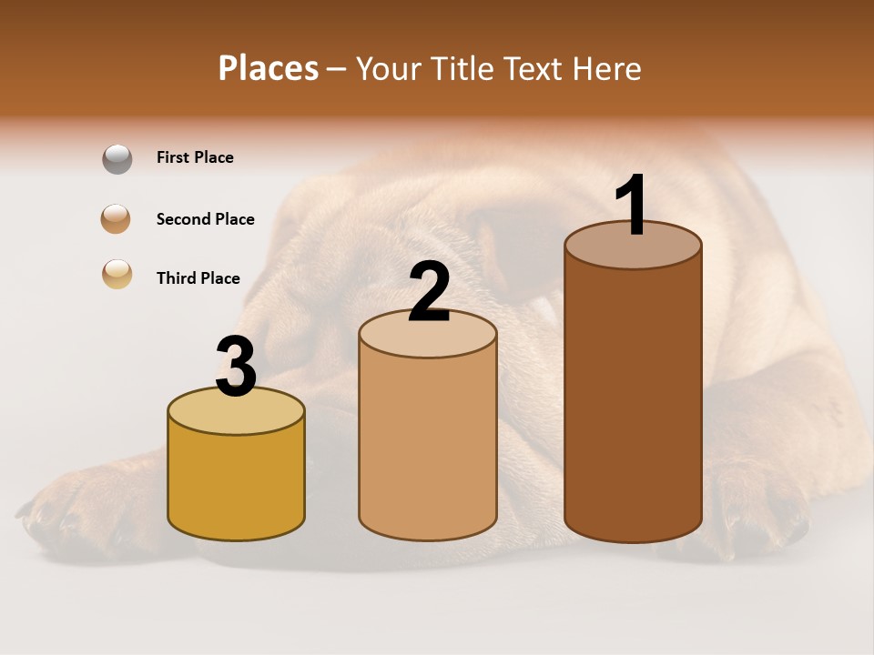 Hide Tired Lying PowerPoint Template