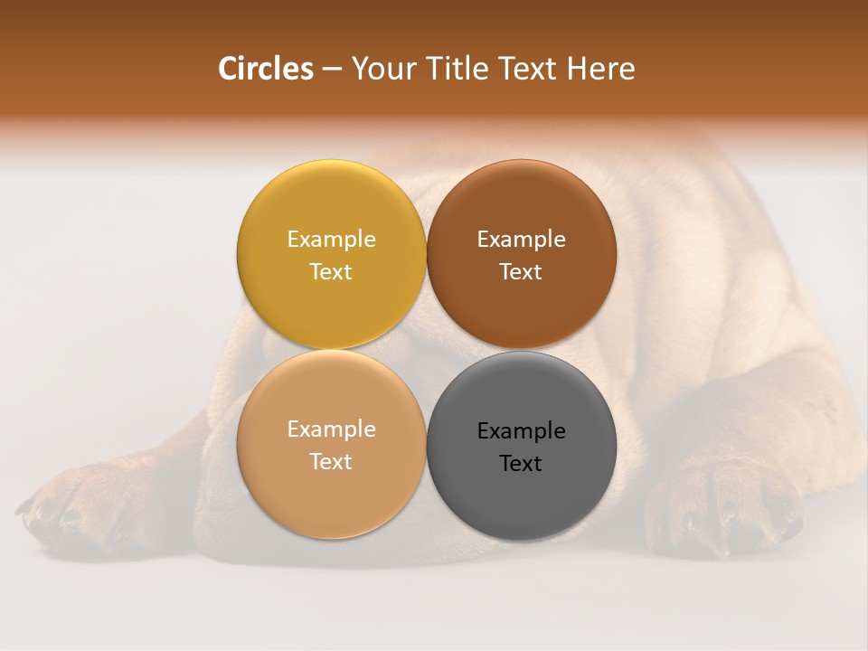 Hide Tired Lying PowerPoint Template