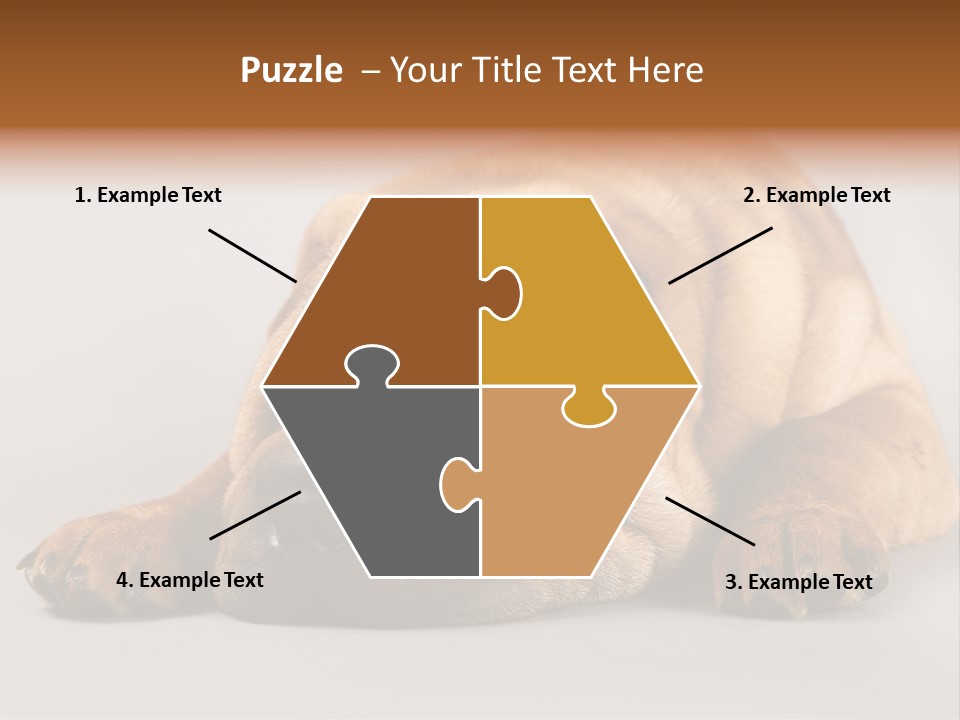 Hide Tired Lying PowerPoint Template