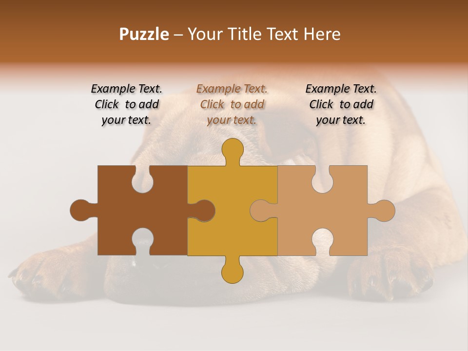 Hide Tired Lying PowerPoint Template