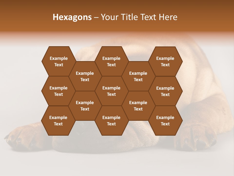 Hide Tired Lying PowerPoint Template