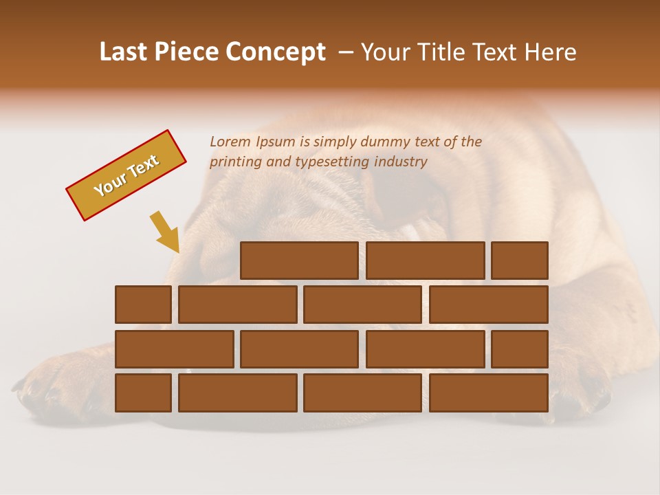 Hide Tired Lying PowerPoint Template